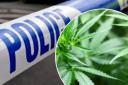 A cannabis factory was discovered in Wiltshire