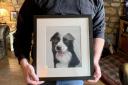 Badger the border collie was well loved in Seend and a 'pub regular'