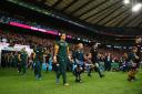 Maddie Baycroft from Brinkworth escorts South Africa during the 2015 Rugby World Cup Semi Final match against New Zealand at Twickenham Stadium on October 24, 2015 in London, United Kingdom. (44231072)