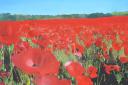 Bid for poppy celebration of First World War anniversary in Malmesbury