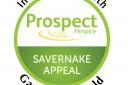 Pupils across Marlborough went green for Prospect Hospice in aid of the Savernake Appeal