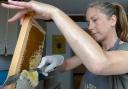 Emma Morley uncapping a comb of honey ready for spinning