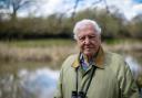 Sir David Attenborough to present a brand new series. Photo: PA