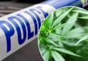 A cannabis factory was discovered in Wiltshire