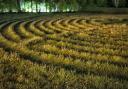 Wiltshire is the crop circle capital of the UK