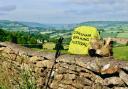 The Corsham Walking Festival in June will feature 20 guided walks for people of all abilities and ages.