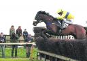 Point to point is back at Barbury racecourse on Sunday