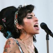 The tribute show Amy Winehouse comes to Devizes for one night only on April 23.