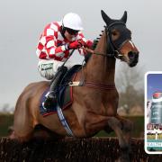 Eclair Surf, the Wiltshire-trained horse, which died after Saturday's Grand National. Pictured in 2020 by PA.
