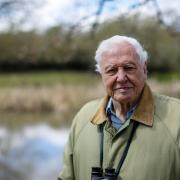 Sir David Attenborough to present a brand new series. Photo: PA