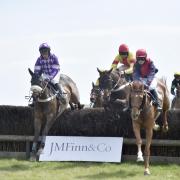 POINT-TO-POINT: Gold Cup is meeting highlight