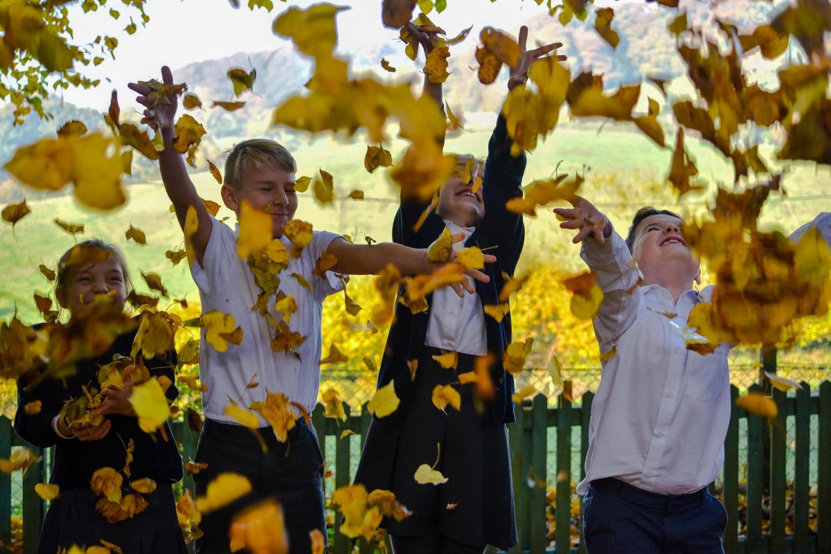 Sam, Basil, Clemmie and Livi having fun with autumn leaves at  Horningsham Primary School. Picture by Glenn Phillips
