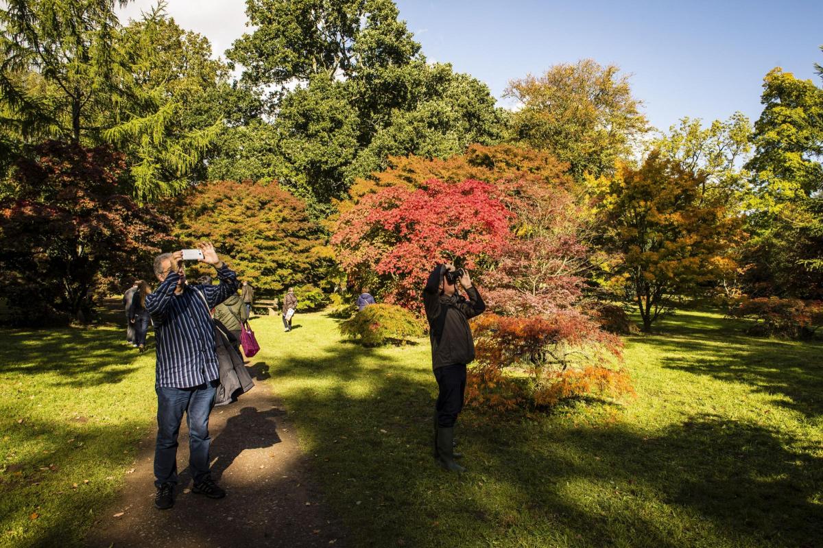 People photograph autumnal trees as they change colour at Westonbirt Arboretum. Picture by Ben Birchall/PA Wire