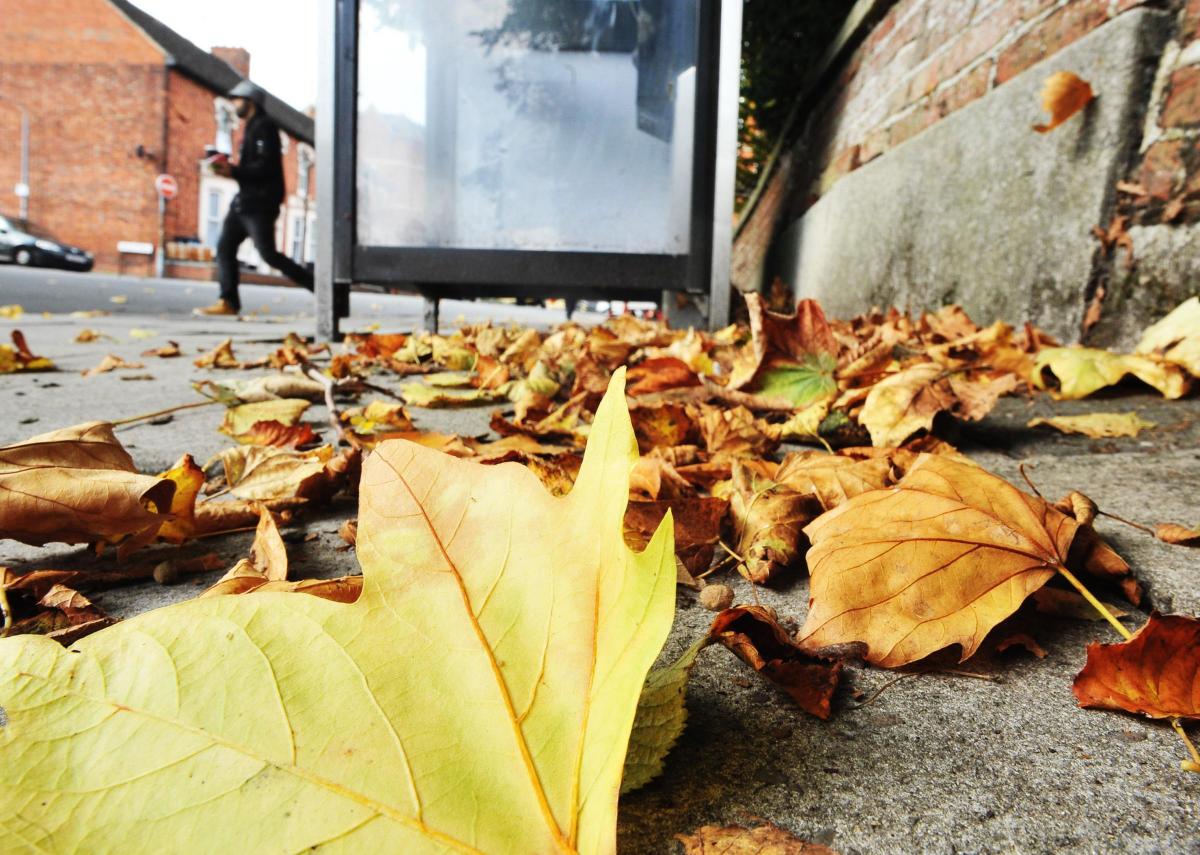 Autumn leaves in Swindon town centre. Picture by Thomas Kelsey
