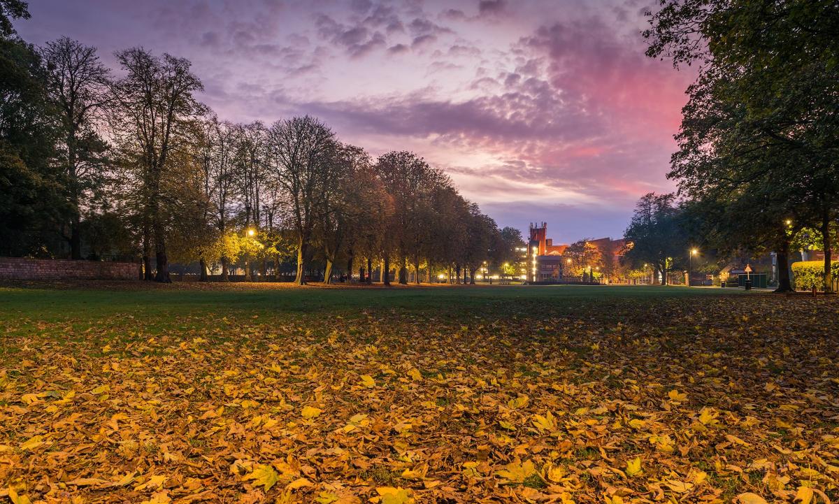 Andy Stevens took this picture of  Trowbridge Park