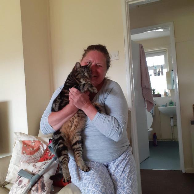 The two cats are now living with Jo Walker in Sutton Veny while her Warminster home is repaired | The Wiltshire ... 