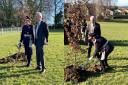 The Lord-Lieutenant of Wiltshire and the town council chairman planted the tree.