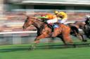 Punters are urged to have a flutter at a charity race night to raise funds for Prospect Hospice