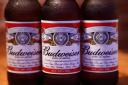 There were several bottles of Budweiser found in Gary Dudfield's bedroom the night he died