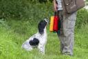 An emotional John Gardiner was told his springer spaniel would be 'destroyed'