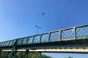 Police helicopter above Ovingham Bridge