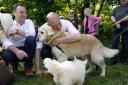 Sir Ed Davey joined supporters for a dog walk near Winchester, while on the General Election campaign trail.