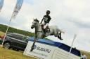 Andrew Nicholson and Swallow Springs pictured at Barbury two years ago. PHOTO: Tim Crisp.
