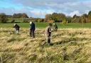 Members of the Friends of Green Staff at Kingsdown Golf Club have helped to plant 800 young trees. Photo: Kevin Wilford