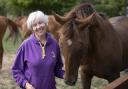 Mrs Yeadon has been working with horses and children for 25 years.