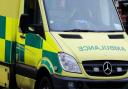 Two girls were injured in Wiltshire after a crash on the A342