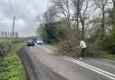 A tree collapsed onto the A3102 near Calne