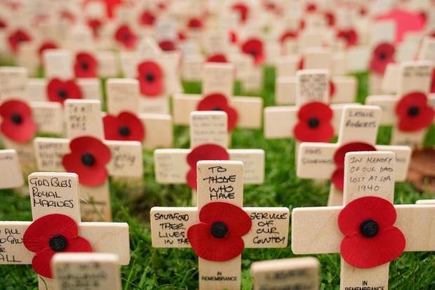 The Wiltshire Gazette and Herald: Messages written on planted tributes during the official opening of the 2021 Royal British Legion Field of Remembrance at the National Memorial Arboretum in Alrewas, Staffordshire. Credit: PA