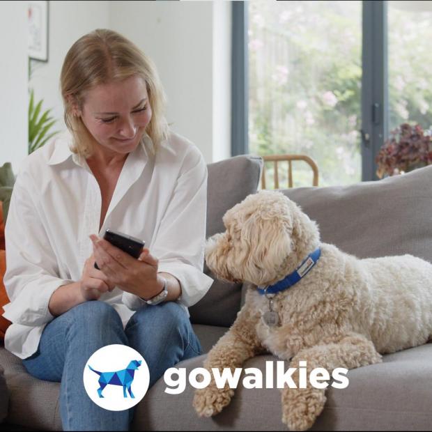 The Wiltshire Gazette and Herald: GoWalkies is quick and easy to use from both the walkers and owners perspective. (GoWalkies)