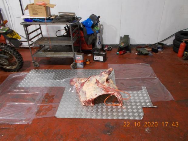 The Wiltshire Gazette and Herald: Photos of illicit meat taken provided by Wiltshire Council