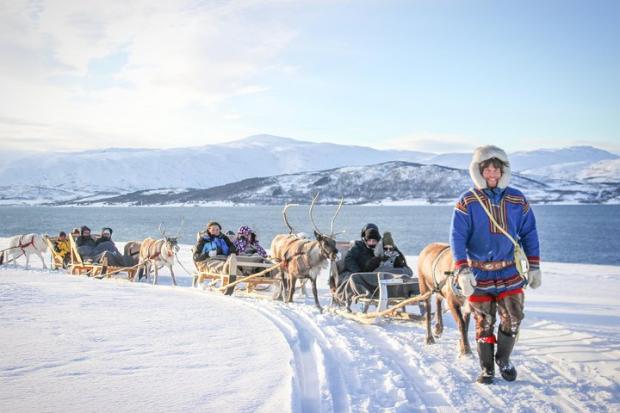 The Wiltshire Gazette and Herald: Reindeer Sledding Experience and Sami Culture Tour from Tromso - Tromso, Norway. Credit: TripAdvisor