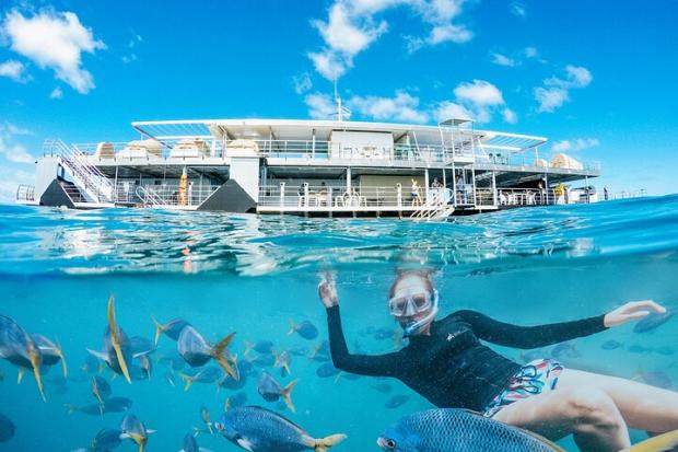 The Wiltshire Gazette and Herald: Two-Day Great Barrier Reef "Reefsleep" Experience - Airlie Beach, Australia Credit: TripAdvisor