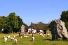 A sunlit view of large ancient standing stones and the village of Avebury north Wiltshire.