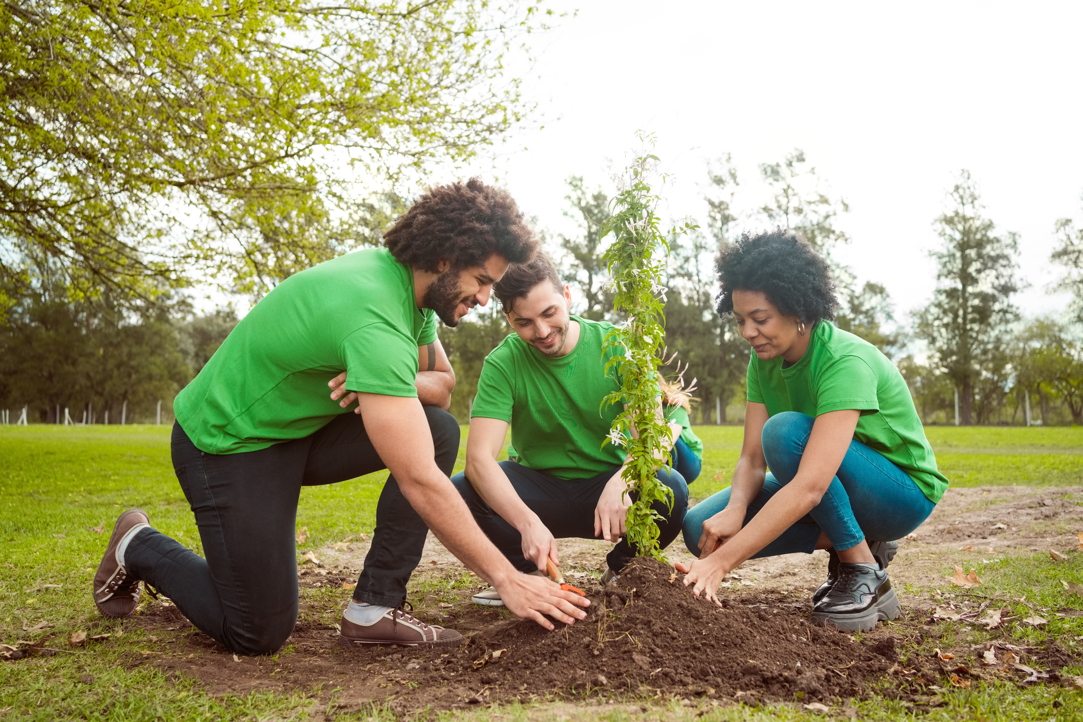 Marlborough town councillors to vote on tree planting project | The Wiltshire Gazette and Herald - Vimarsana News