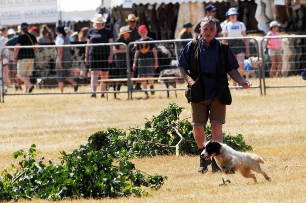 Aubrey Lanyman with his Spaniel Bella giving a search and find display in the arena at Bowood.
Photo: Trevor Porter 69220-1