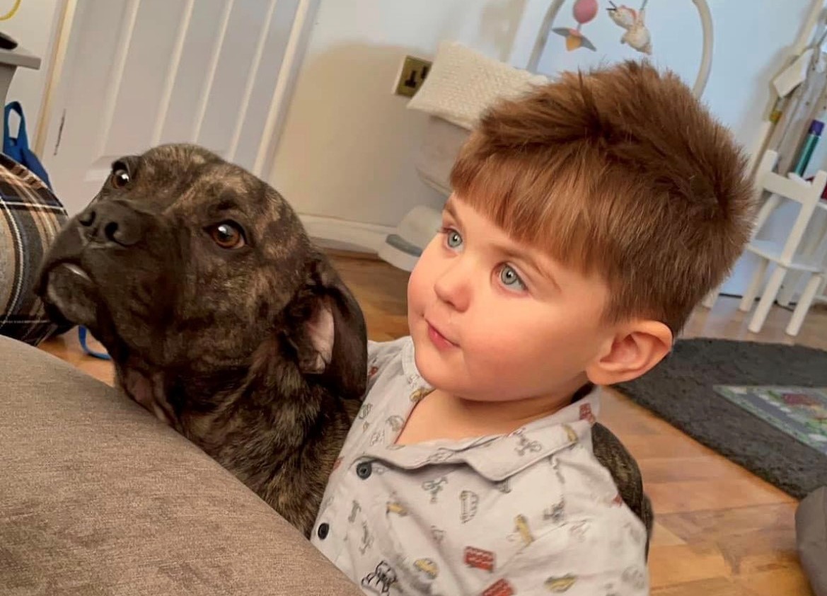Parents of Wiltshire boy who died from Strep A warn of 'silent killer' | The Wiltshire Gazette and Herald - Vimarsana News