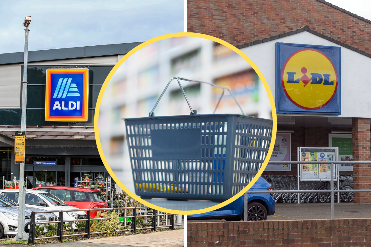 Aldi and Lidl middle aisles this week from picnic bags to DIY tools | The Wiltshire Gazette and Herald - Vimarsana News