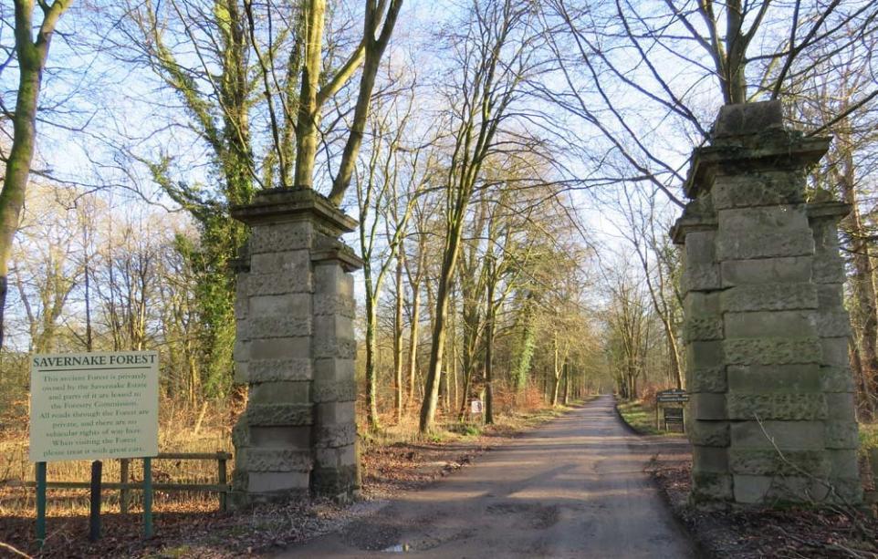 Savernake Forest will close to cars for one day in new year | The Wiltshire Gazette and Herald 
