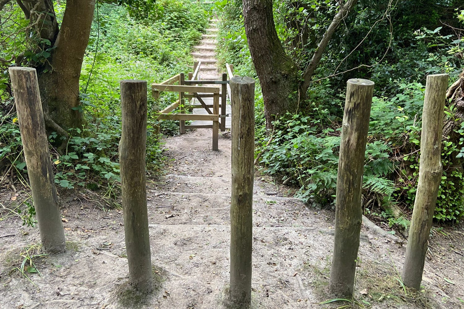 Campaigners call for England's path network to be made more inclusive | The Wiltshire Gazette and Herald - Vimarsana News