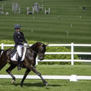 Tim Price in dressage at Barbury Castle in the 4*S with Vitali on a score of 25.6