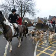 The hounds arrive at Pewsey