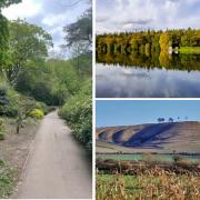 10 easy walks in Swindon and Wiltshire