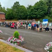 Greyhounds line up at the Wharf in Devizes.