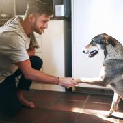 Man meets dog. Photo: Getty