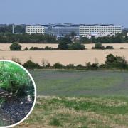 The dry landscape around the GWH and the River Thames near Ashton Keynes completely dried up Photo: Brian Marshall