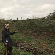 87-year-old Wiltshire resident's fence destroyed by council